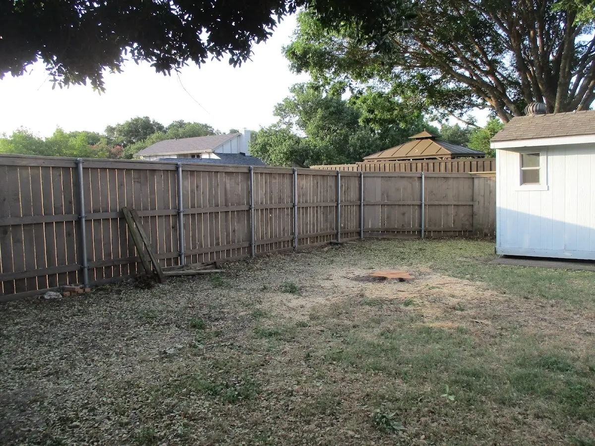 Cleared yard after professional tree removal in South Prairie