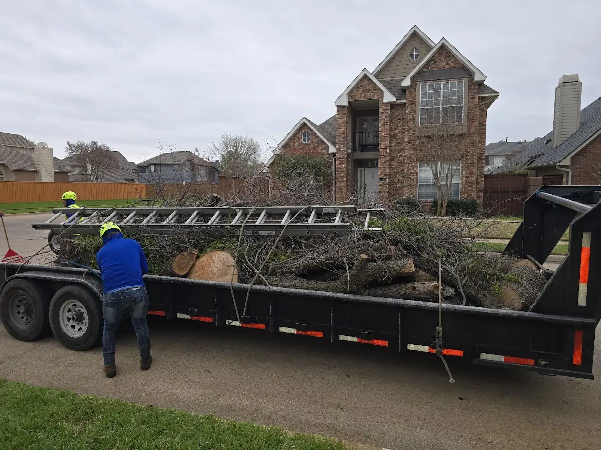Expert Crown Reduction with proper safety equipment in South Prairie